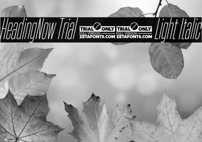 HeadingNow Trial 12 Light Italic Font examples