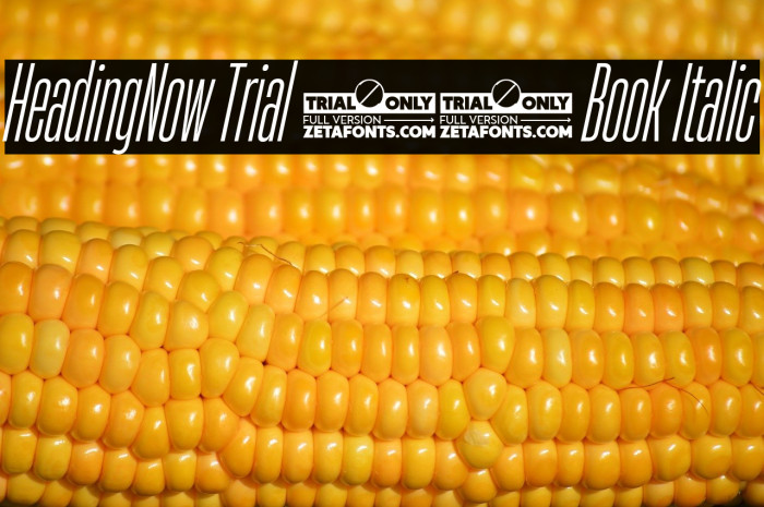 HeadingNow Trial 13 Book Italic Example 2