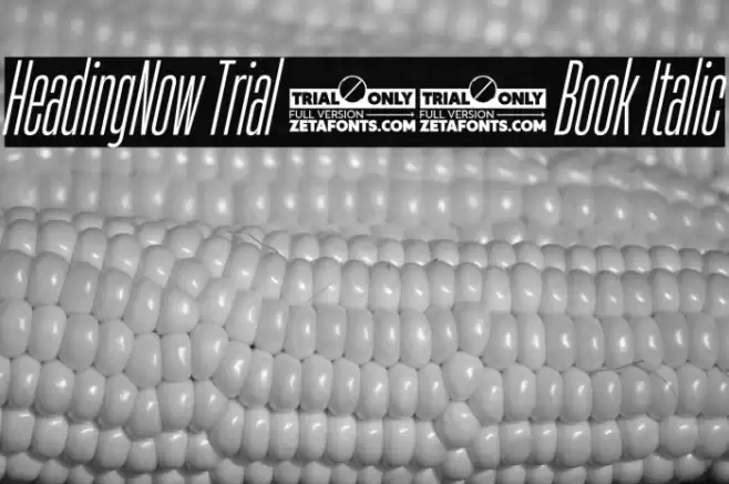 HeadingNow Trial 13 Book Italic Font examples