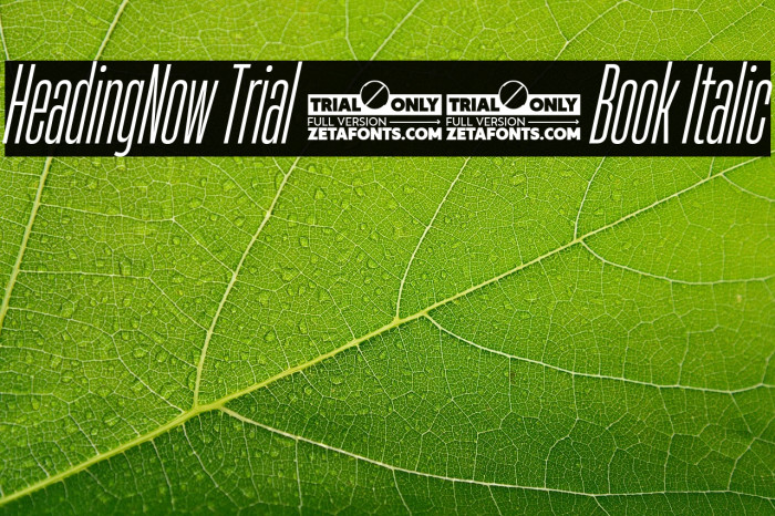 HeadingNow Trial 13 Book Italic Example 3