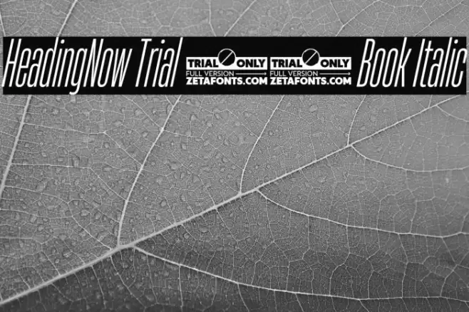 HeadingNow Trial 13 Book Italic Font examples