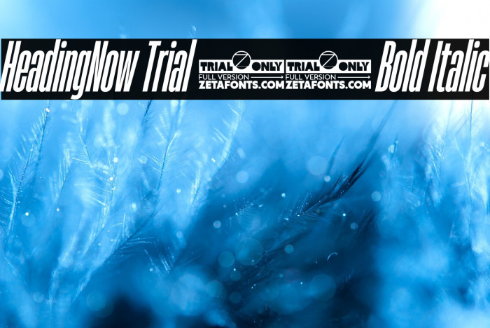 HeadingNow Trial 16 Bold Italic Example 3