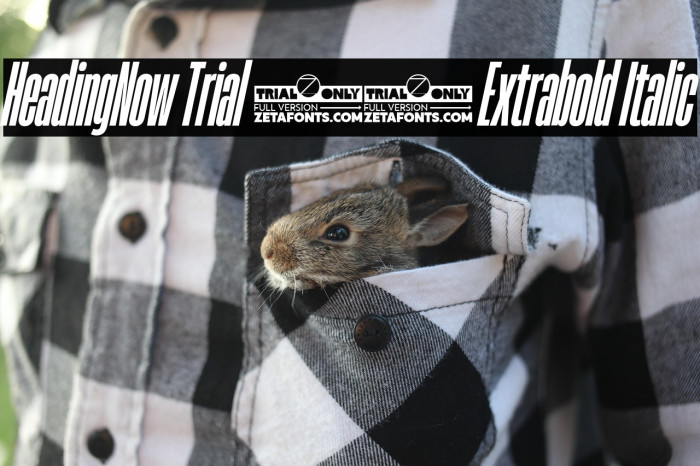 HeadingNow Trial 17 Extrabold Italic Example 1