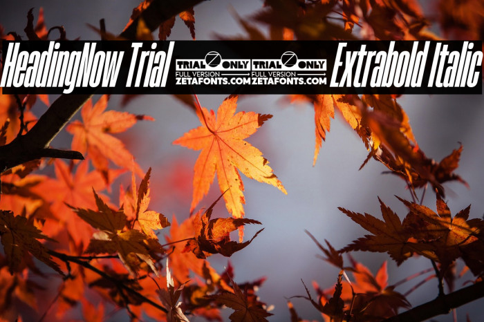HeadingNow Trial 17 Extrabold Italic Example 2