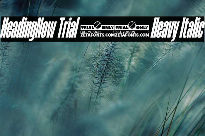 HeadingNow Trial 18 Heavy Italic Example 3