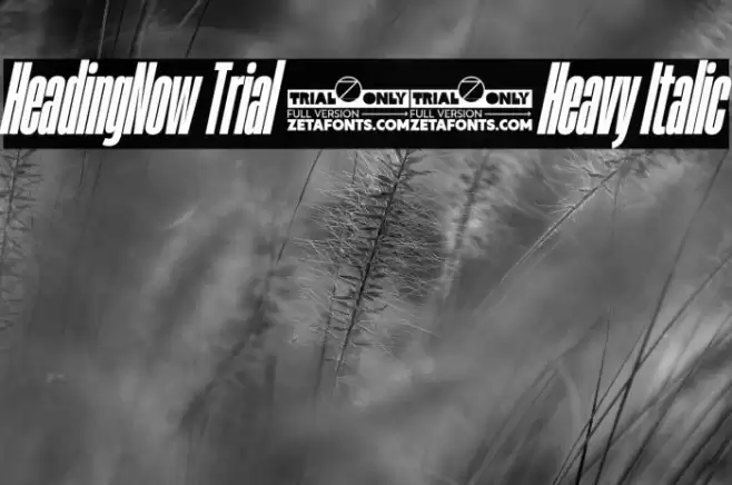 HeadingNow Trial 18 Heavy Italic Font examples