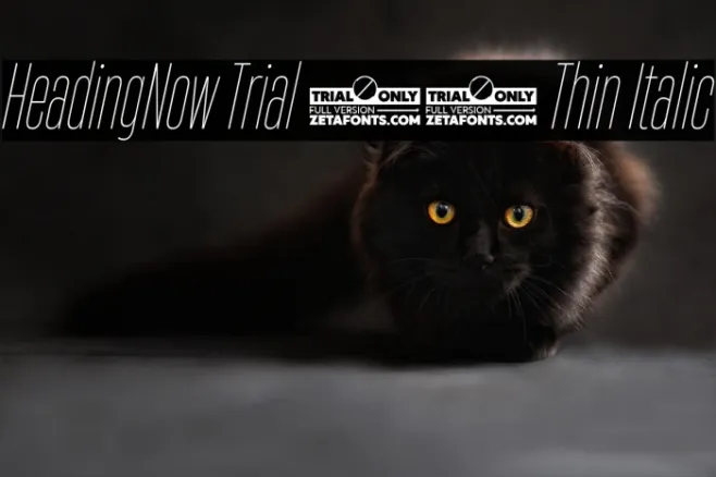 HeadingNow Trial 21 Thin Italic Example 2