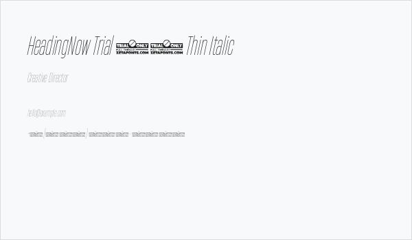 HeadingNow Trial 21 Thin Italic Business Card