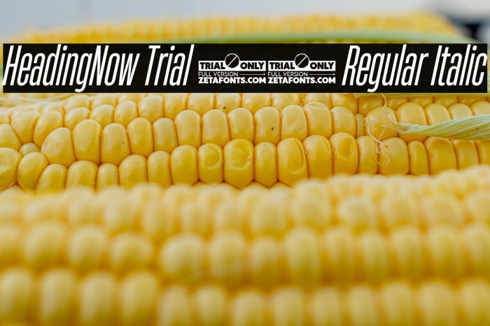 HeadingNow Trial 24 Regular Italic Example 1