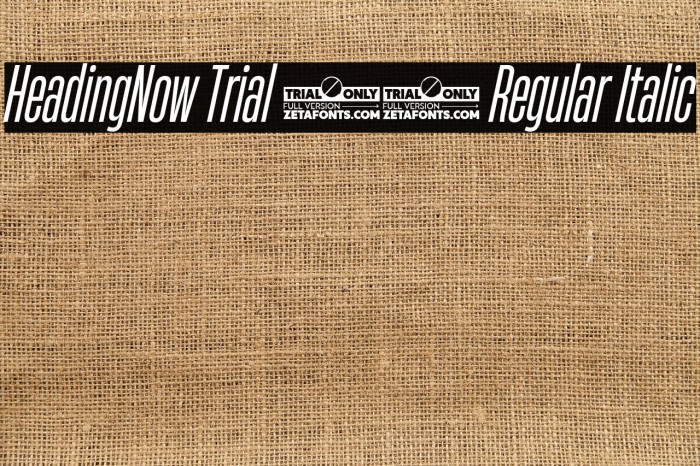 HeadingNow Trial 24 Regular Italic Example 2