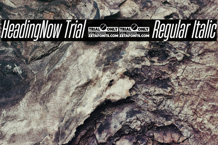 HeadingNow Trial 24 Regular Italic Example 3