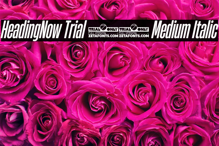 HeadingNow Trial 25 Medium Italic Example 1