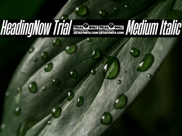 HeadingNow Trial 25 Medium Italic Example 2