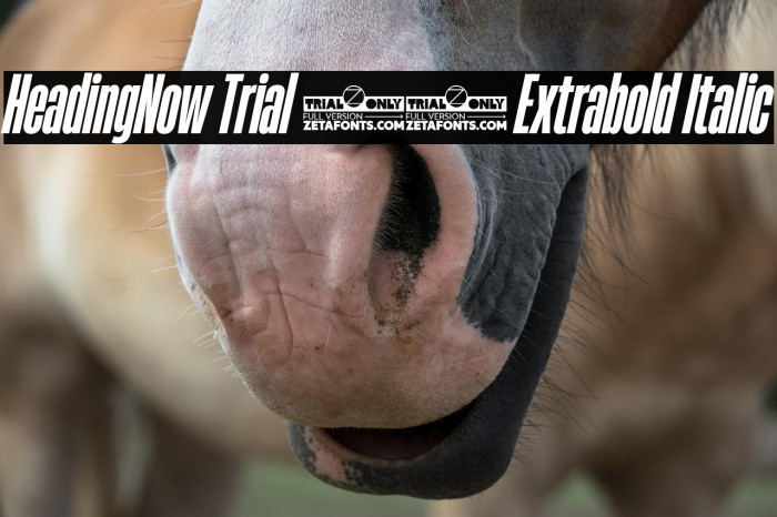 HeadingNow Trial 27 Extrabold Italic Example 2