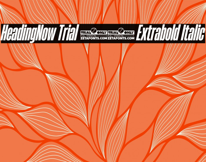HeadingNow Trial 27 Extrabold Italic Example 3