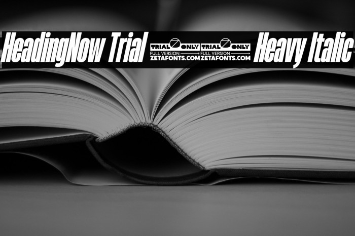 HeadingNow Trial 28 Heavy Italic Example 2