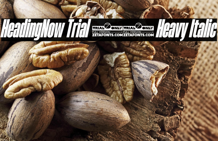 HeadingNow Trial 28 Heavy Italic Example 3