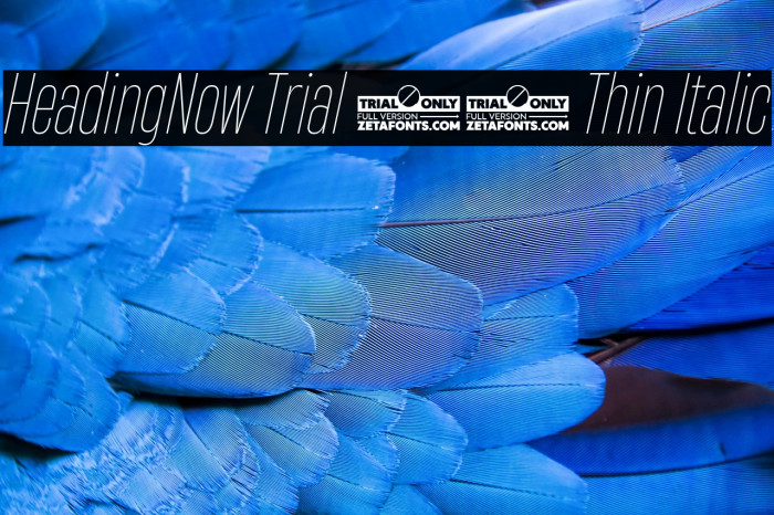 HeadingNow Trial 31 Thin Italic Example 2