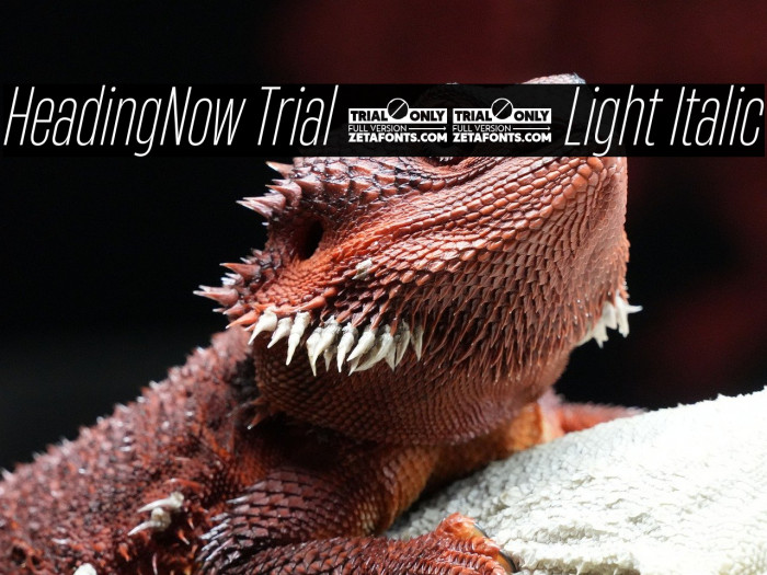 HeadingNow Trial 32 Light Italic Example 1