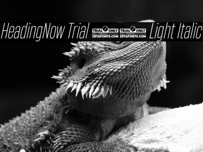 HeadingNow Trial 32 Light Italic Font examples