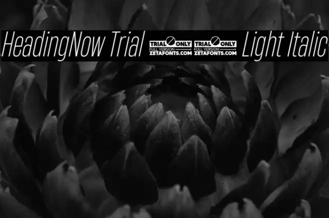 HeadingNow Trial 32 Light Italic Font examples