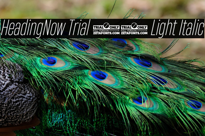 HeadingNow Trial 32 Light Italic Example 3