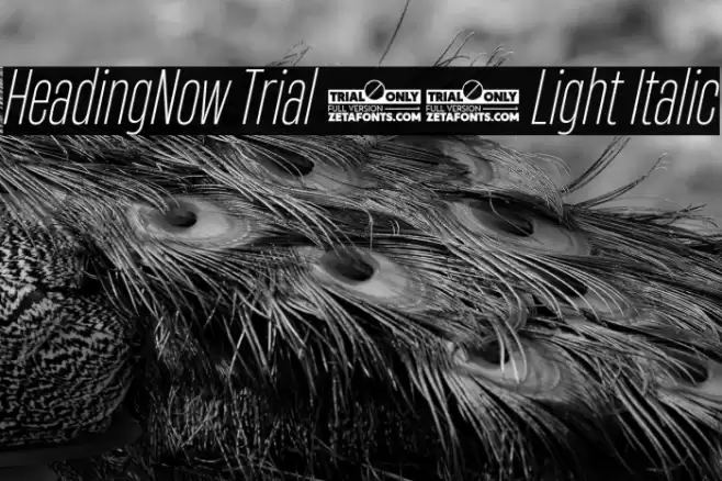 HeadingNow Trial 32 Light Italic Font examples