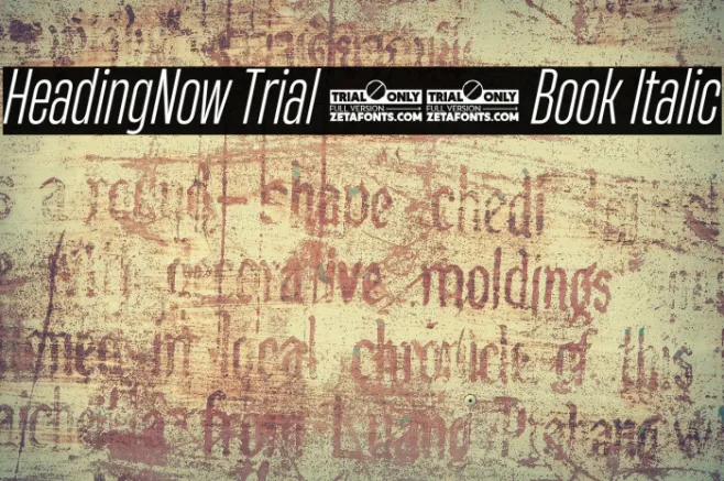 HeadingNow Trial 33 Book Italic Example 1