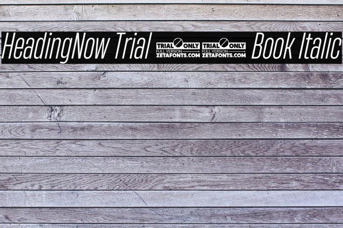 HeadingNow Trial 33 Book Italic Example 2