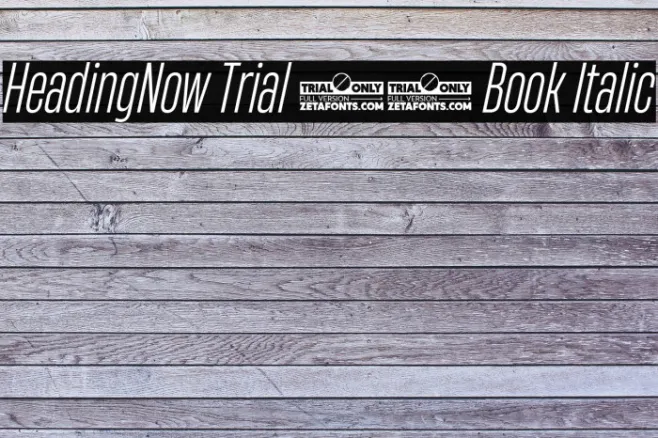 HeadingNow Trial 33 Book Italic Example 2