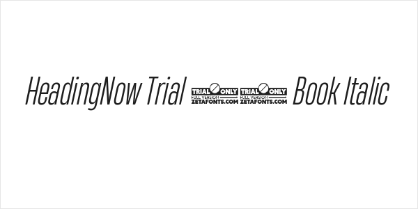 HeadingNow Trial 33 Book Italic Logo