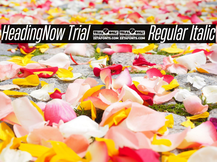 HeadingNow Trial 34 Regular Italic Example 1