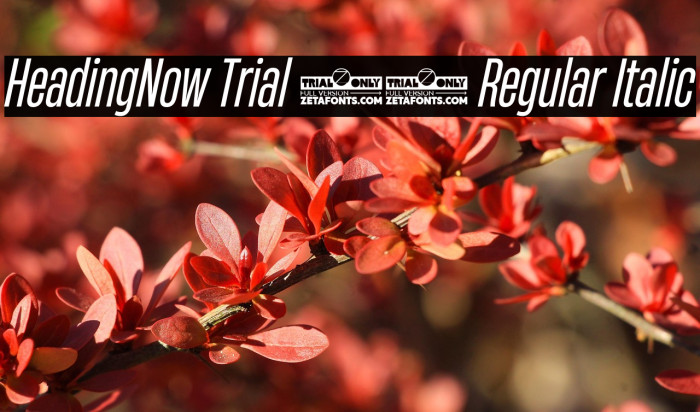 HeadingNow Trial 34 Regular Italic Example 2