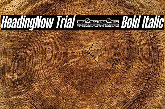 HeadingNow Trial 36 Bold Italic Example 2