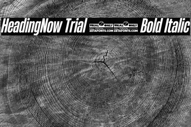 HeadingNow Trial 36 Bold Italic Font examples