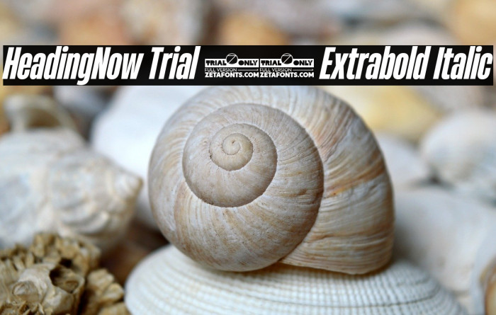HeadingNow Trial 37 Extrabold Italic Example 3