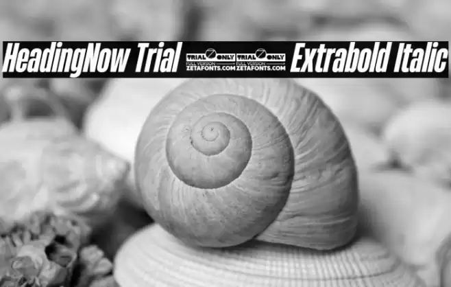 HeadingNow Trial 37 Extrabold Italic Font examples