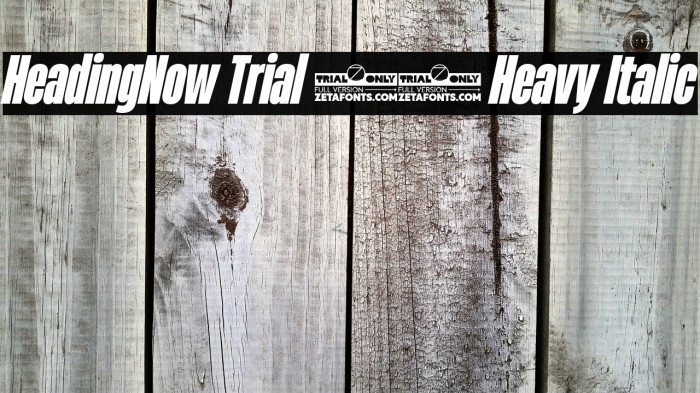 HeadingNow Trial 38 Heavy Italic Example 1