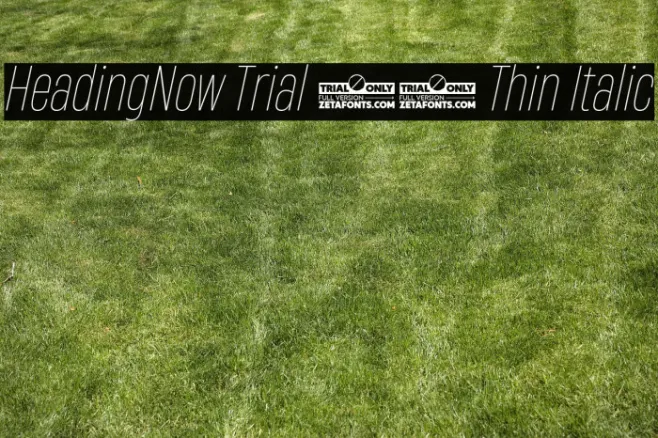 HeadingNow Trial 41 Thin Italic Example 3