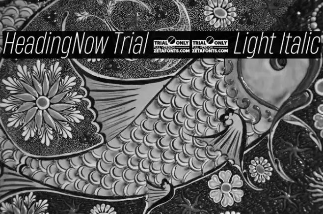HeadingNow Trial 42 Light Italic Font examples