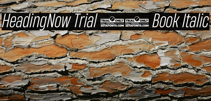 HeadingNow Trial 43 Book Italic Example 1