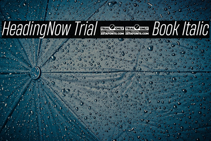 HeadingNow Trial 43 Book Italic Example 2