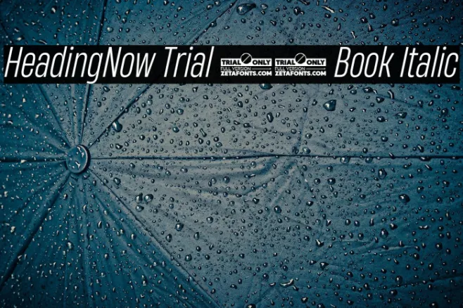 HeadingNow Trial 43 Book Italic Example 2