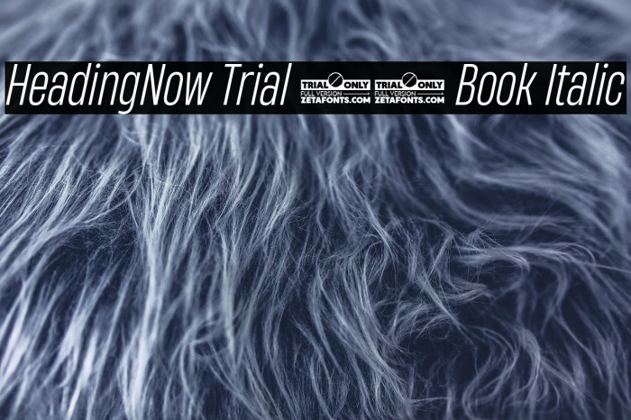 HeadingNow Trial 43 Book Italic Example 3