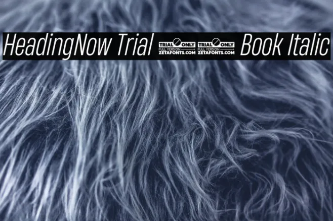 HeadingNow Trial 43 Book Italic Example 3