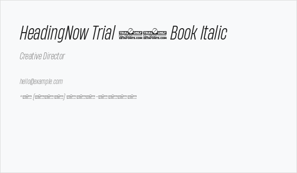 HeadingNow Trial 43 Book Italic Business Card