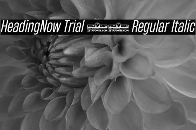 HeadingNow Trial 44 Regular Italic Font examples