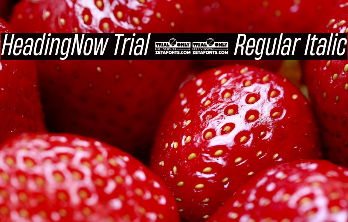 HeadingNow Trial 44 Regular Italic Example 3