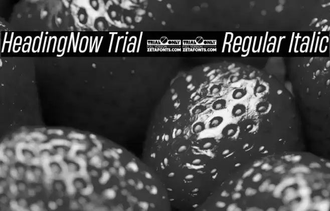 HeadingNow Trial 44 Regular Italic Font examples