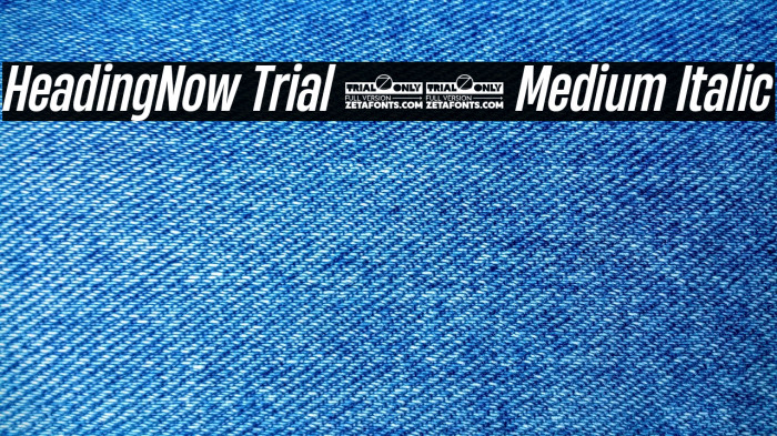 HeadingNow Trial 45 Medium Italic Example 1